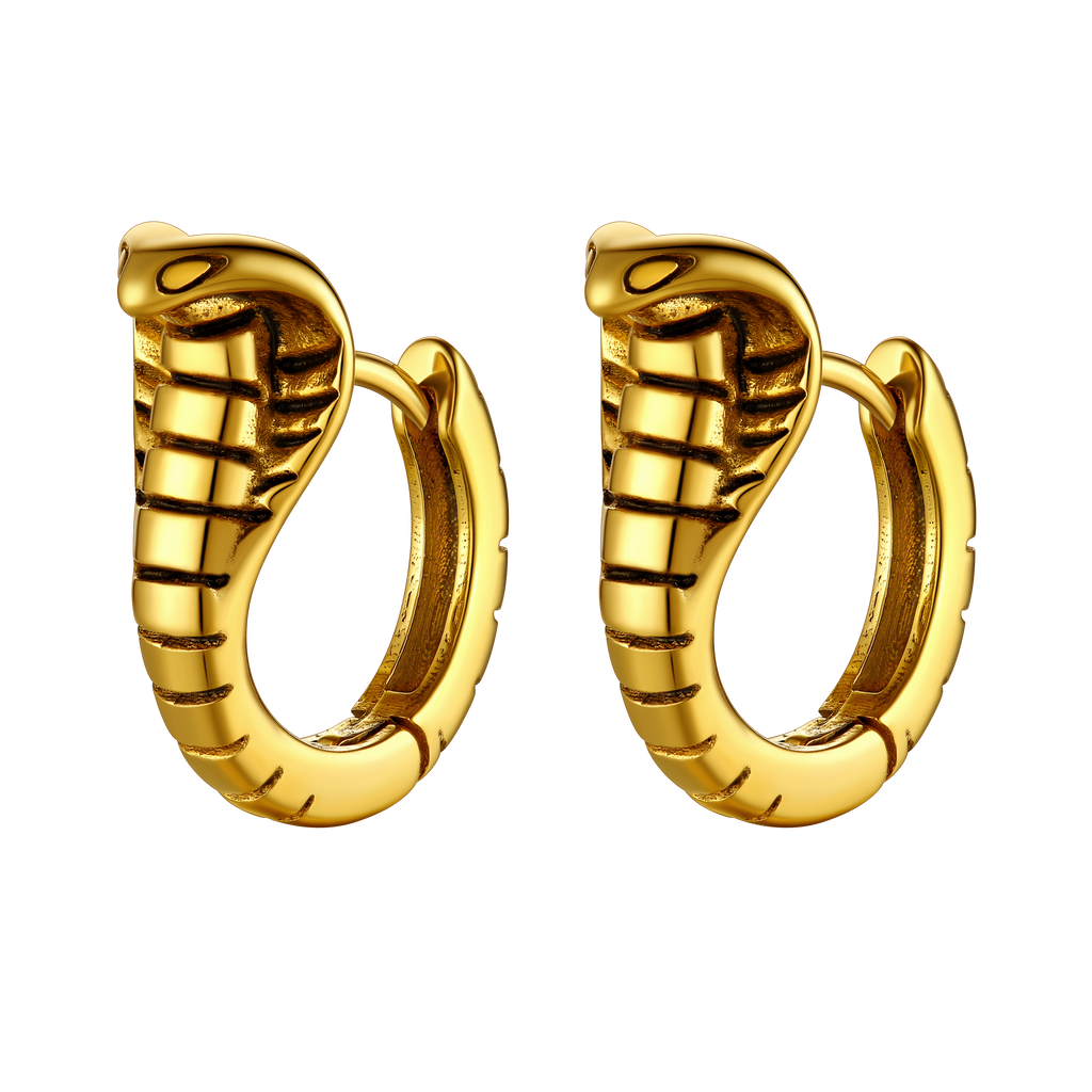 Gothic Punk Snake Hoop Earrings for Men Women