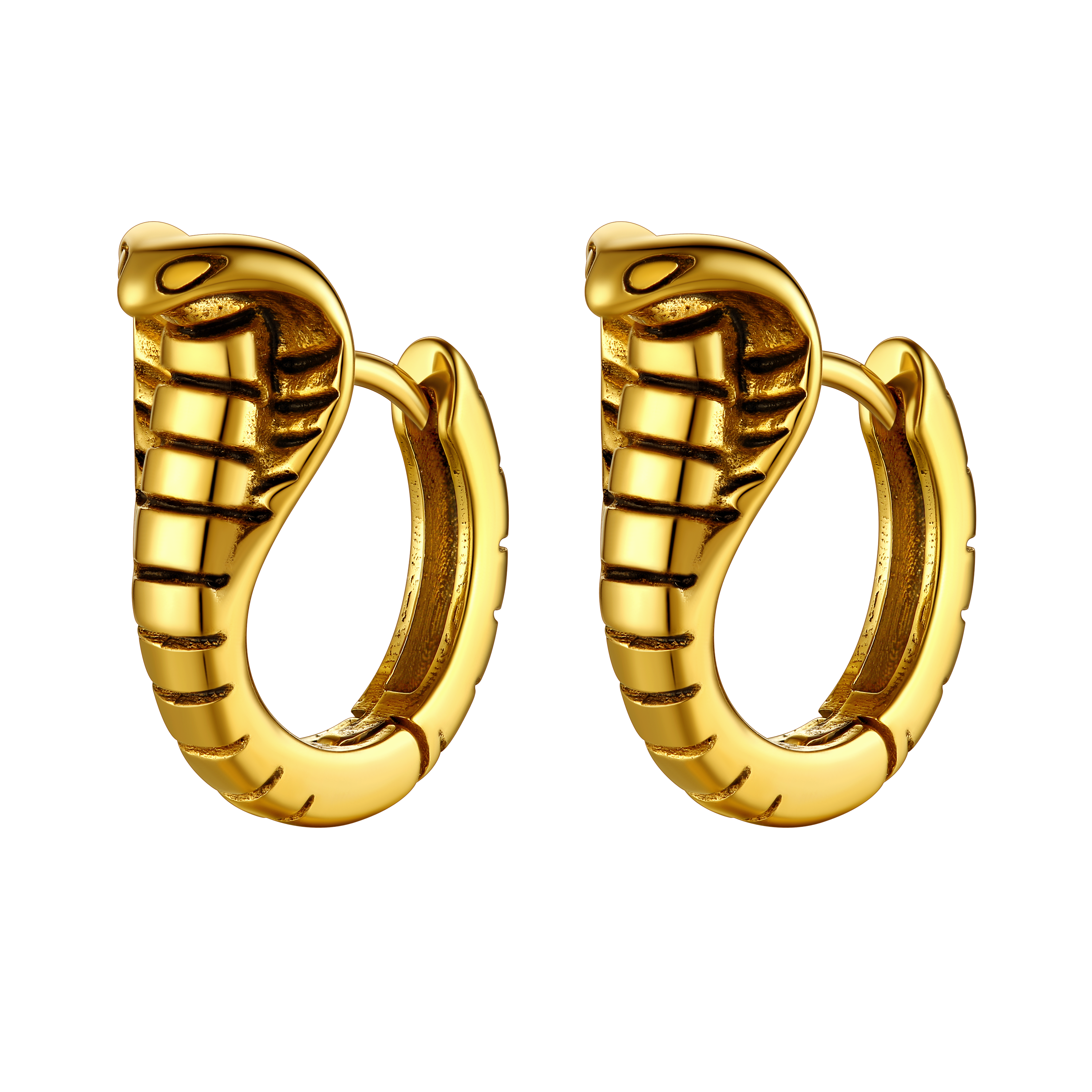 Gothic Punk Snake Hoop Earrings for Men Women